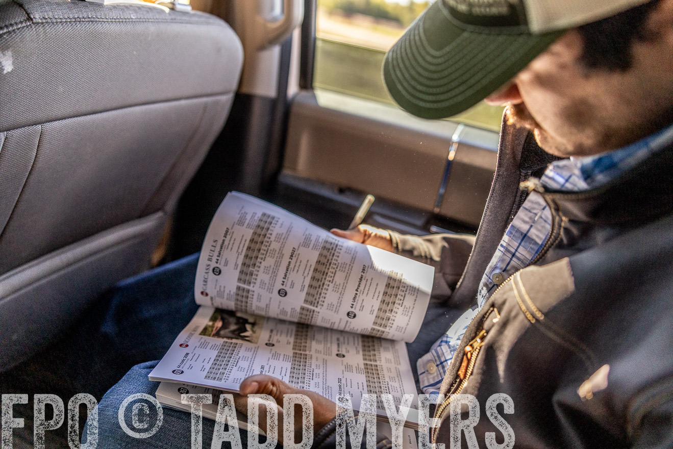 TMyers_Females_Ranchers_Cameron_Oct2023-512458