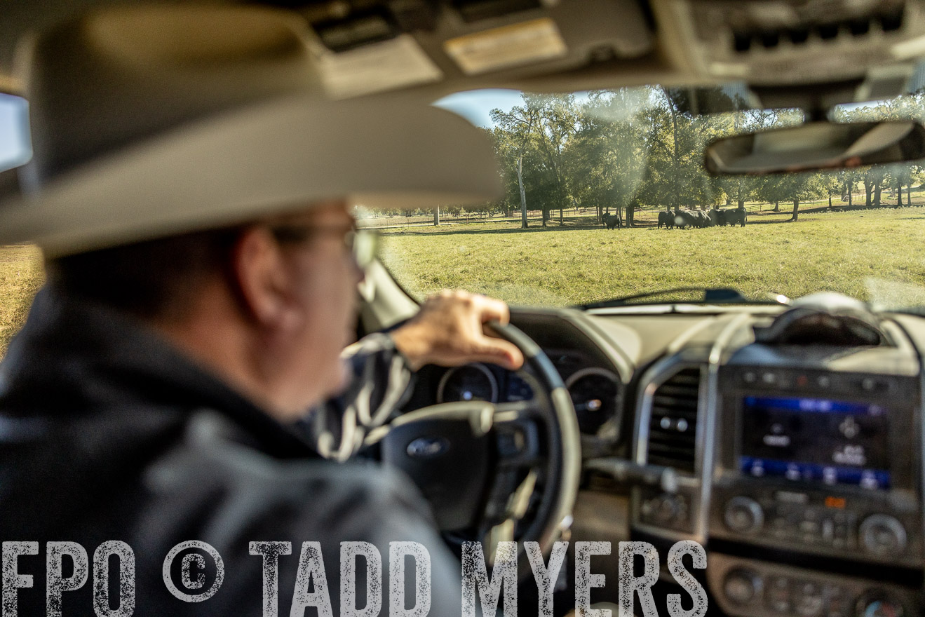 TMyers_Females_Ranchers_Cameron_Oct2023-512474