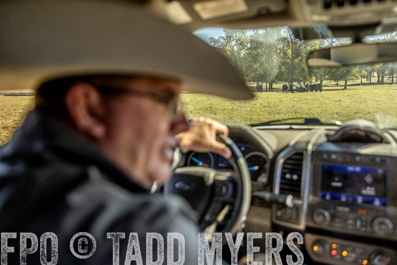 TMyers_Females_Ranchers_Cameron_Oct2023-512477