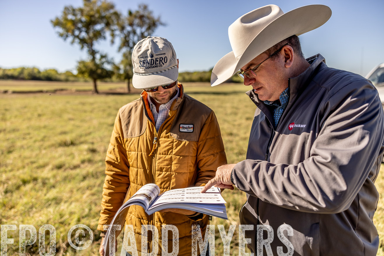 TMyers_Females_Ranchers_Cameron_Oct2023-512523