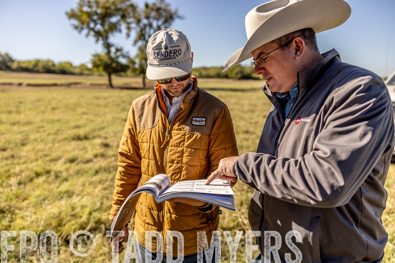 TMyers_Females_Ranchers_Cameron_Oct2023-512526