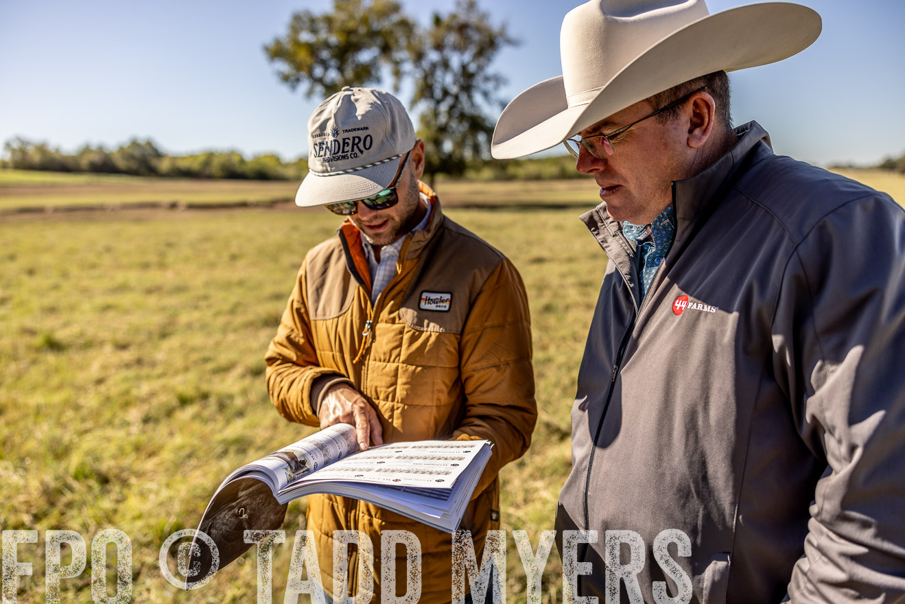 TMyers_Females_Ranchers_Cameron_Oct2023-512535