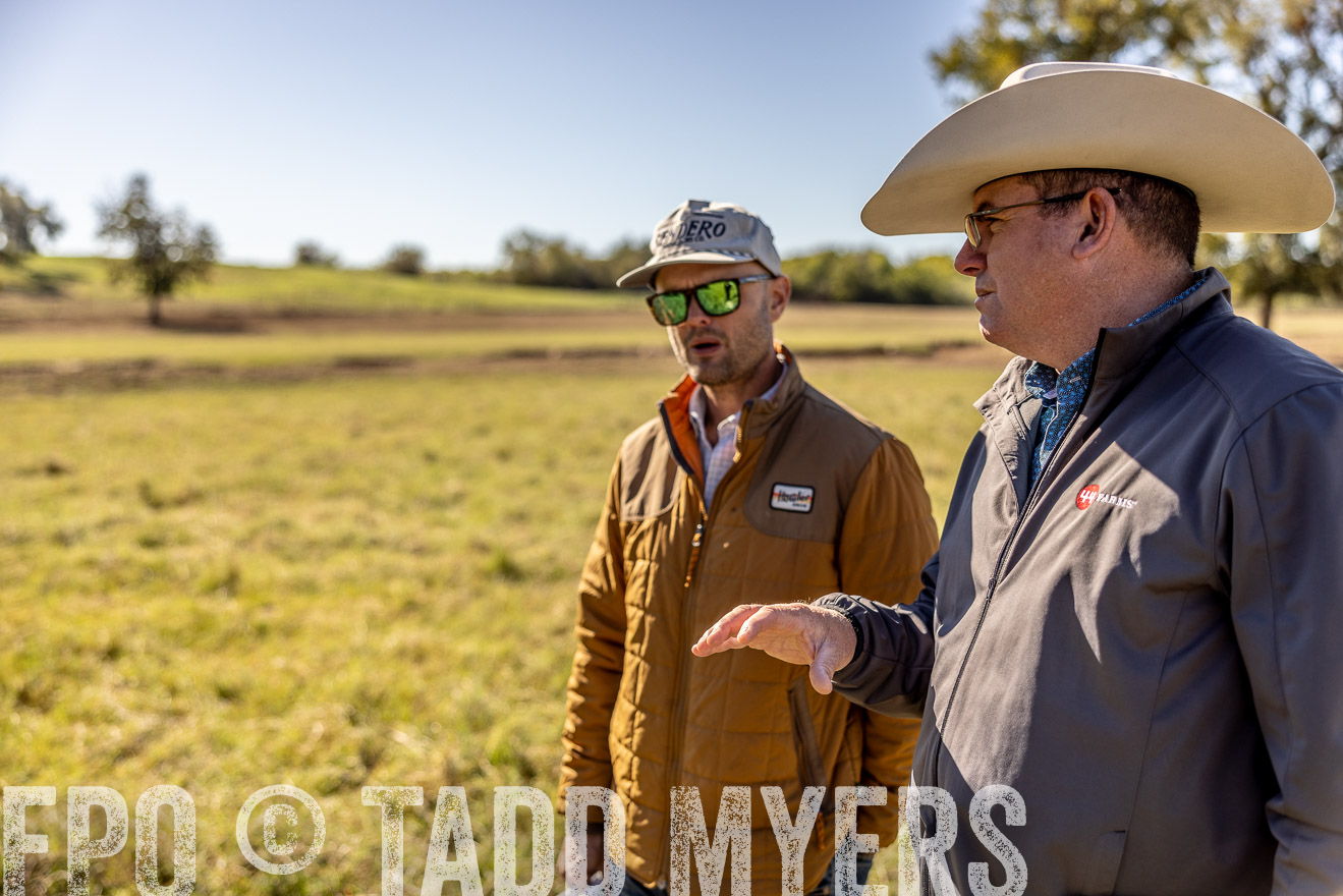TMyers_Females_Ranchers_Cameron_Oct2023-512617
