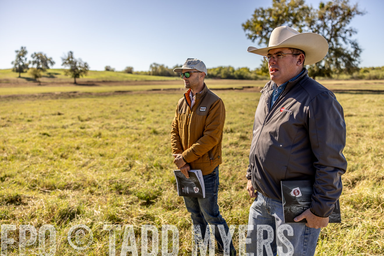 TMyers_Females_Ranchers_Cameron_Oct2023-512634