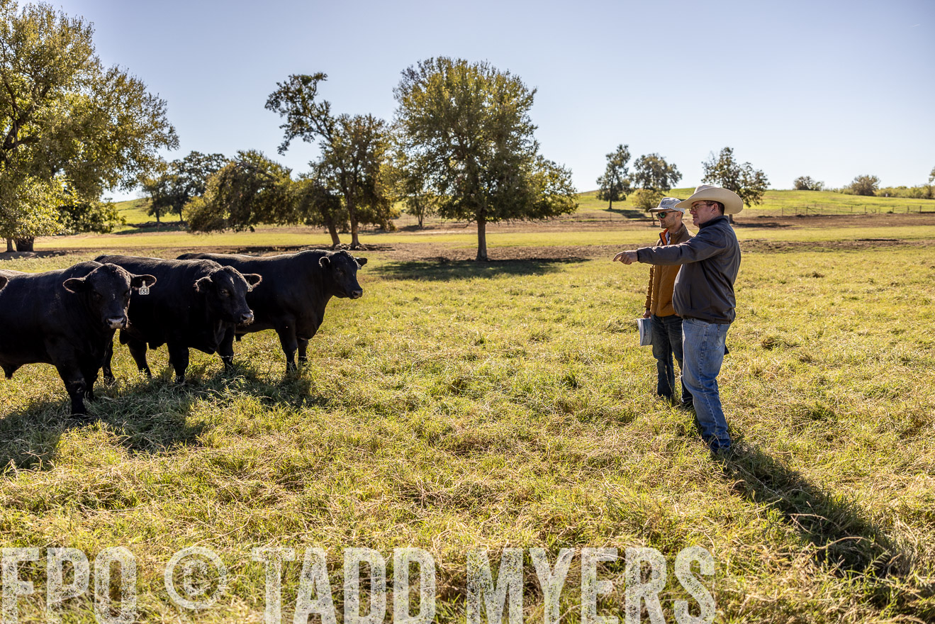 TMyers_Females_Ranchers_Cameron_Oct2023-512642