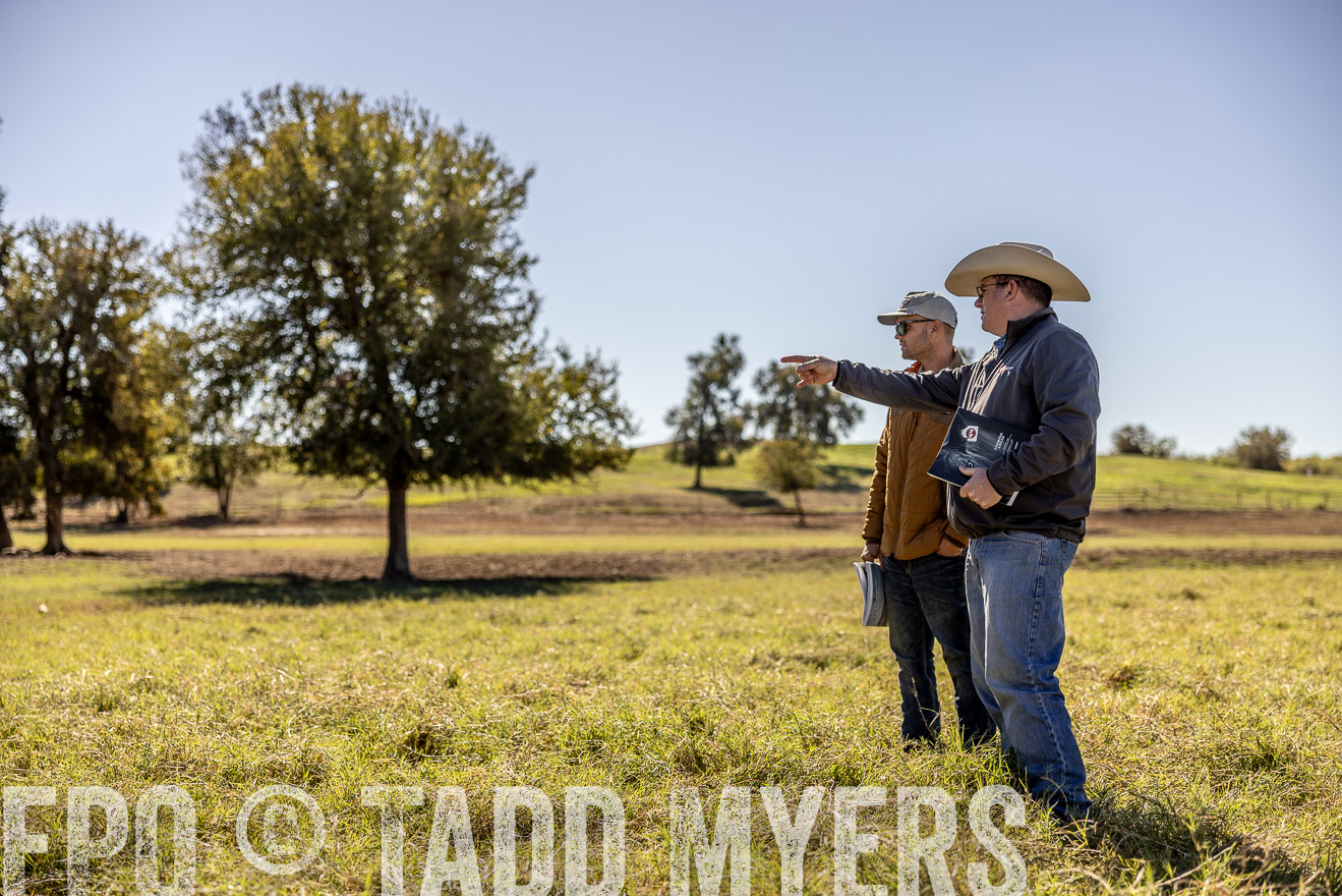 TMyers_Females_Ranchers_Cameron_Oct2023-512657