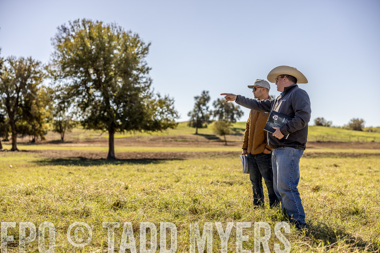TMyers_Females_Ranchers_Cameron_Oct2023-512663