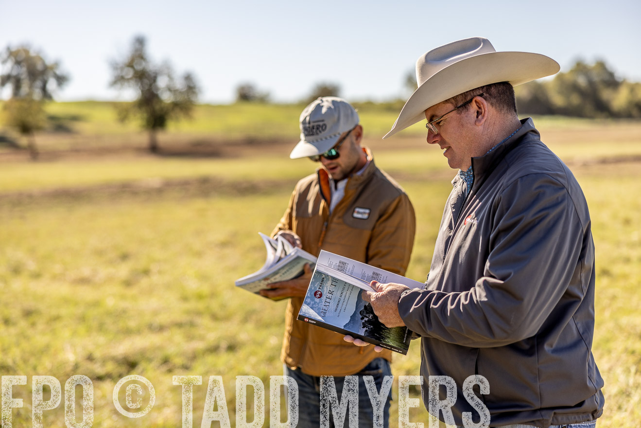TMyers_Females_Ranchers_Cameron_Oct2023-512668