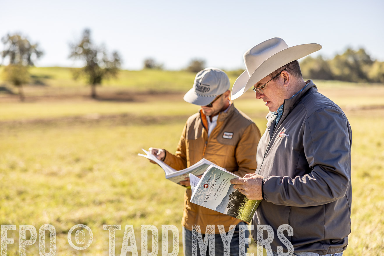 TMyers_Females_Ranchers_Cameron_Oct2023-512672