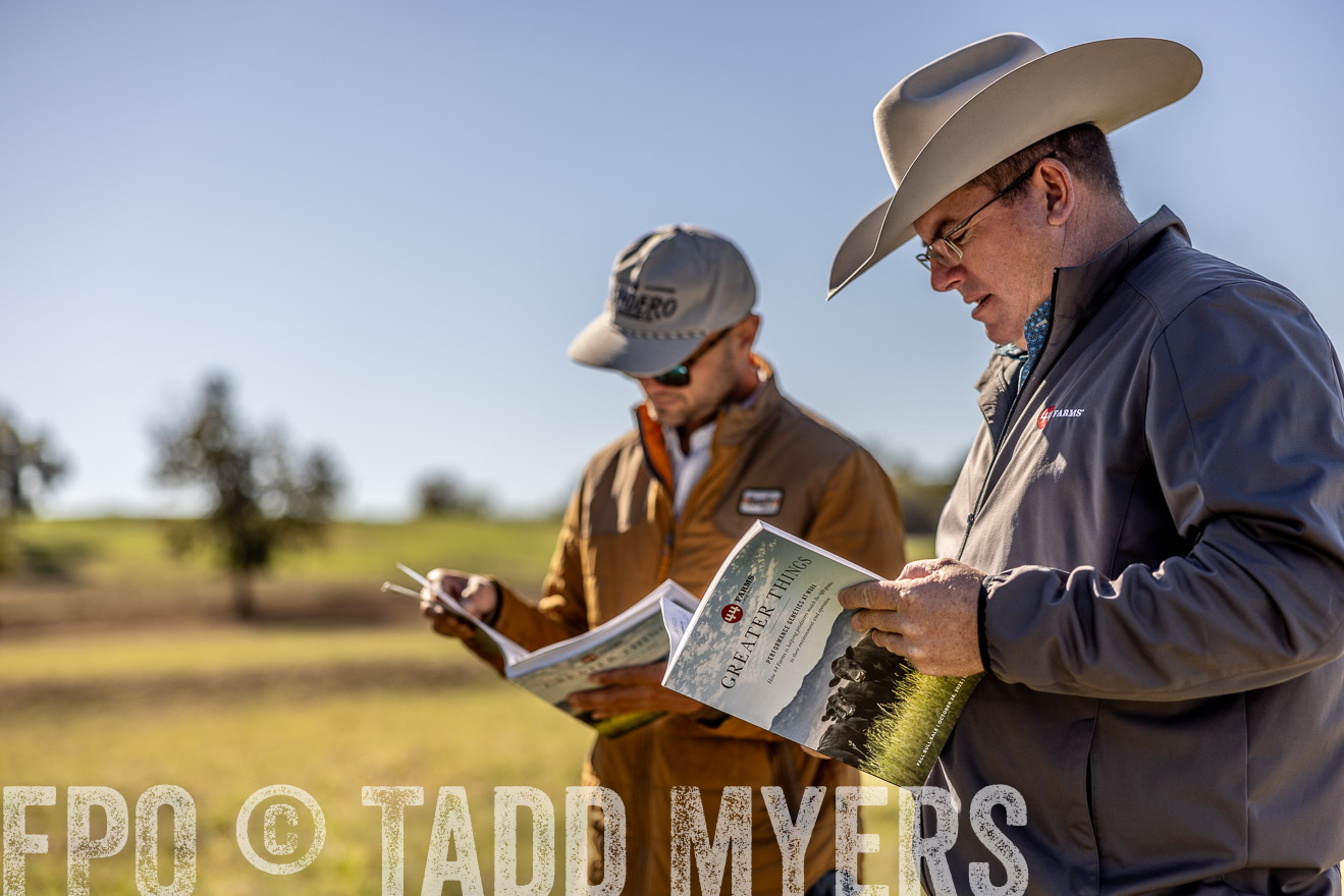 TMyers_Females_Ranchers_Cameron_Oct2023-512675