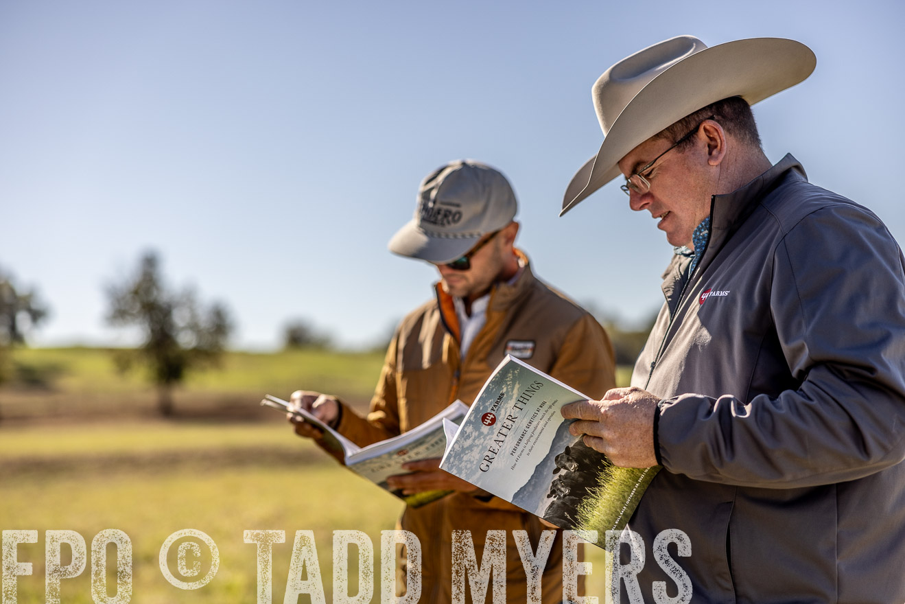 TMyers_Females_Ranchers_Cameron_Oct2023-512678