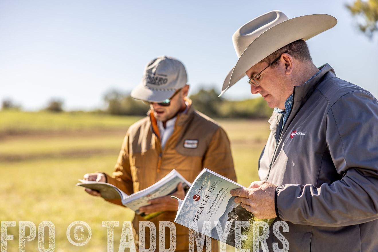 TMyers_Females_Ranchers_Cameron_Oct2023-512688