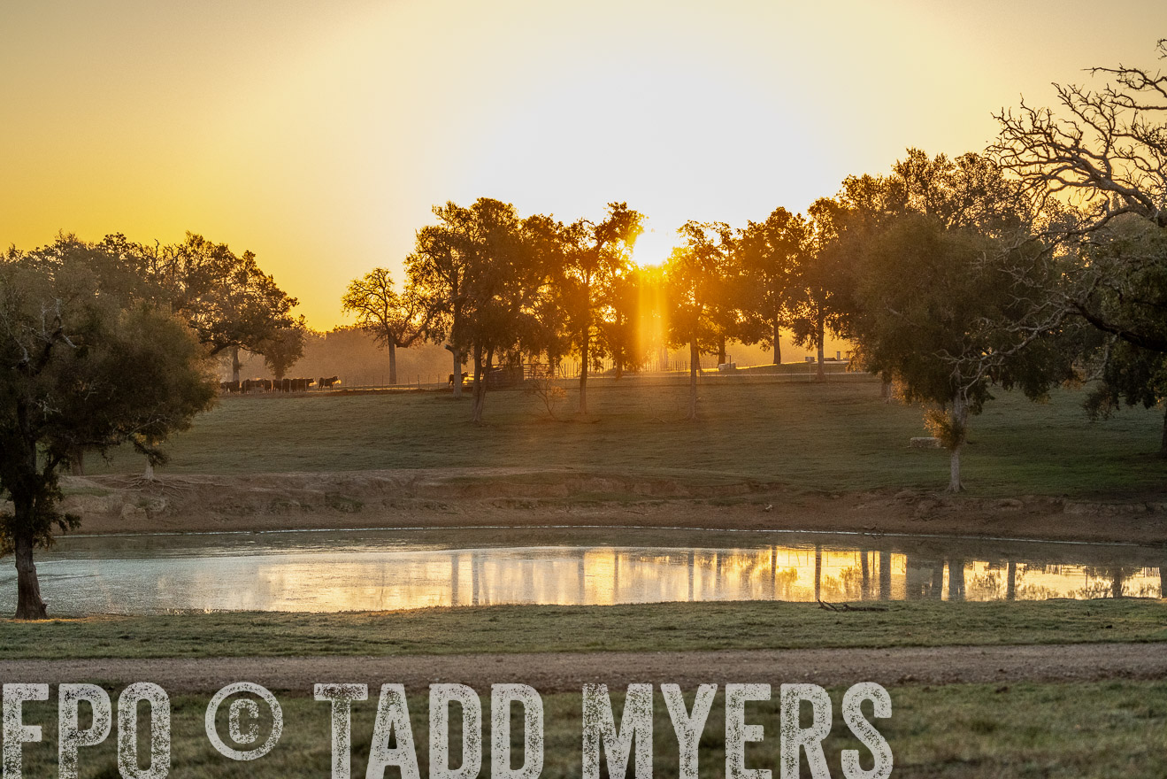 TMyers_Females_Ranchers_Cameron_Oct2023-523107