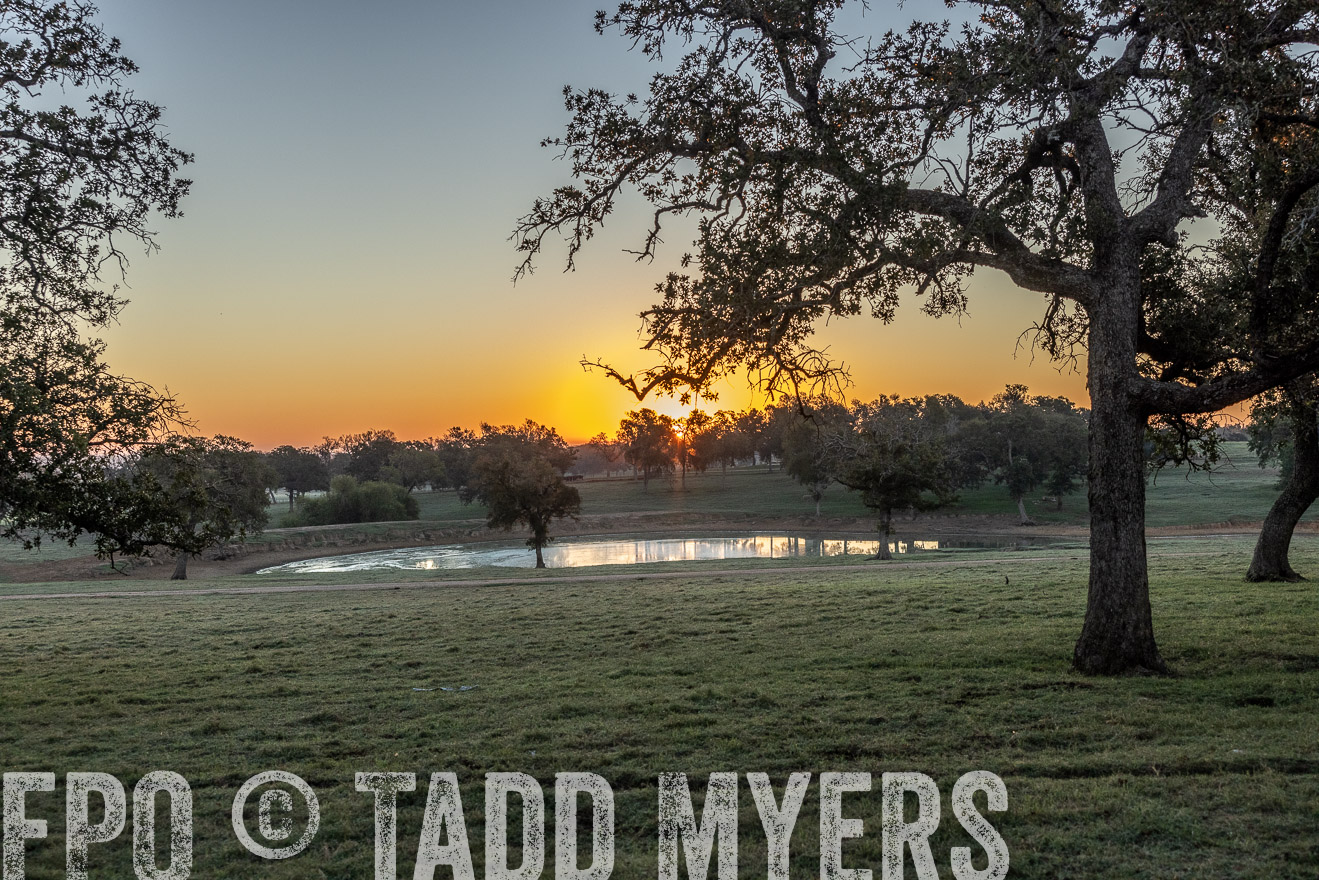 TMyers_Females_Ranchers_Cameron_Oct2023-511508