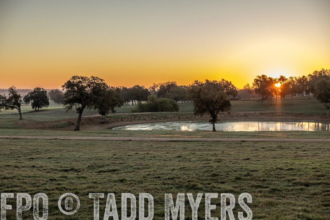 TMyers_Females_Ranchers_Cameron_Oct2023-511519