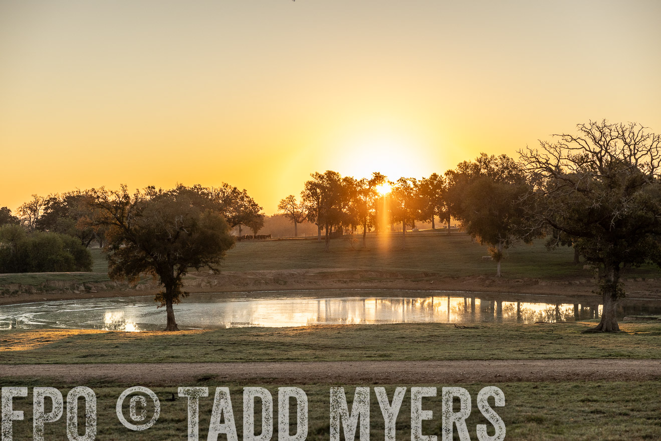 TMyers_Females_Ranchers_Cameron_Oct2023-511585