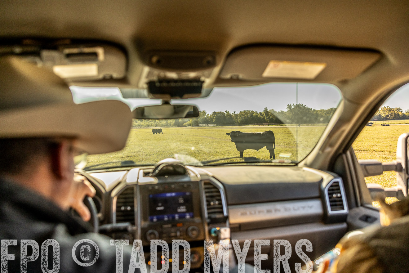 TMyers_Females_Ranchers_Cameron_Oct2023-512240