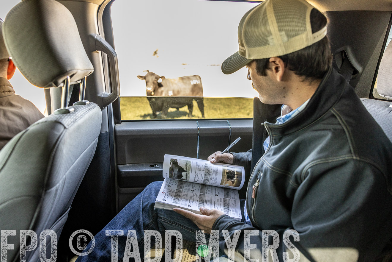 TMyers_Females_Ranchers_Cameron_Oct2023-512296
