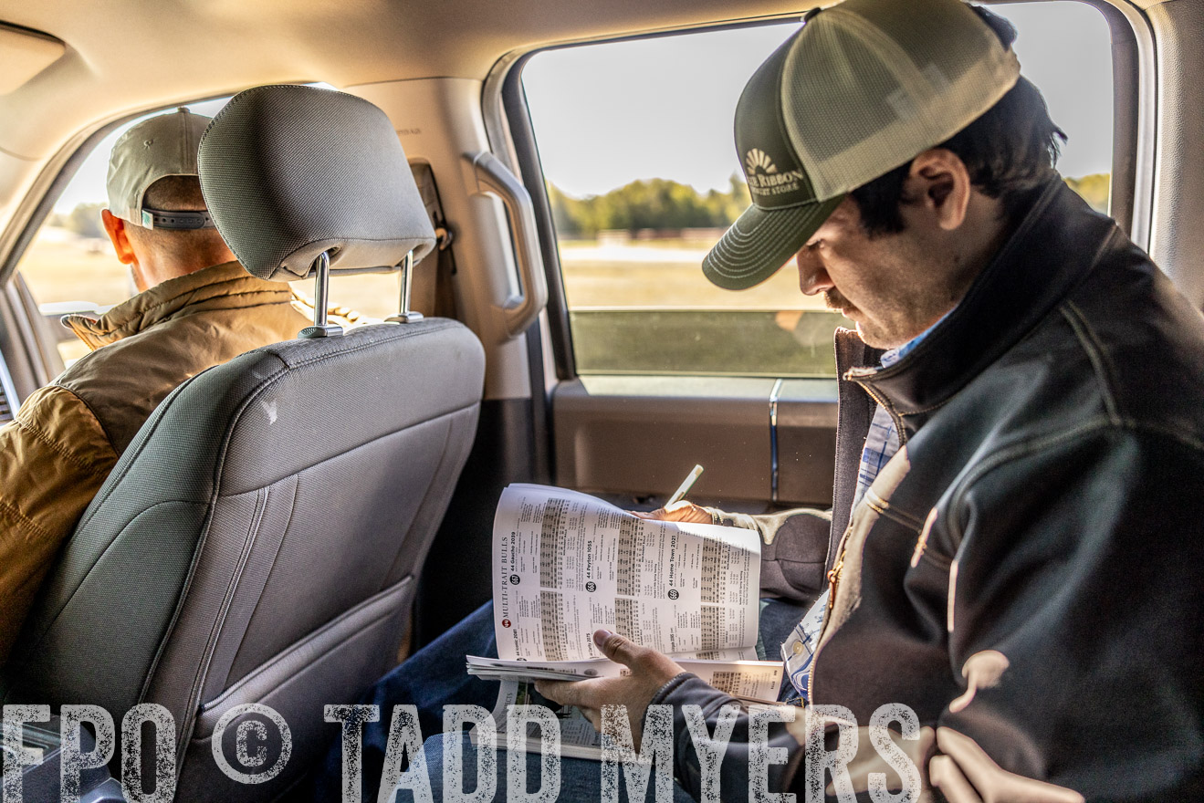 TMyers_Females_Ranchers_Cameron_Oct2023-512460