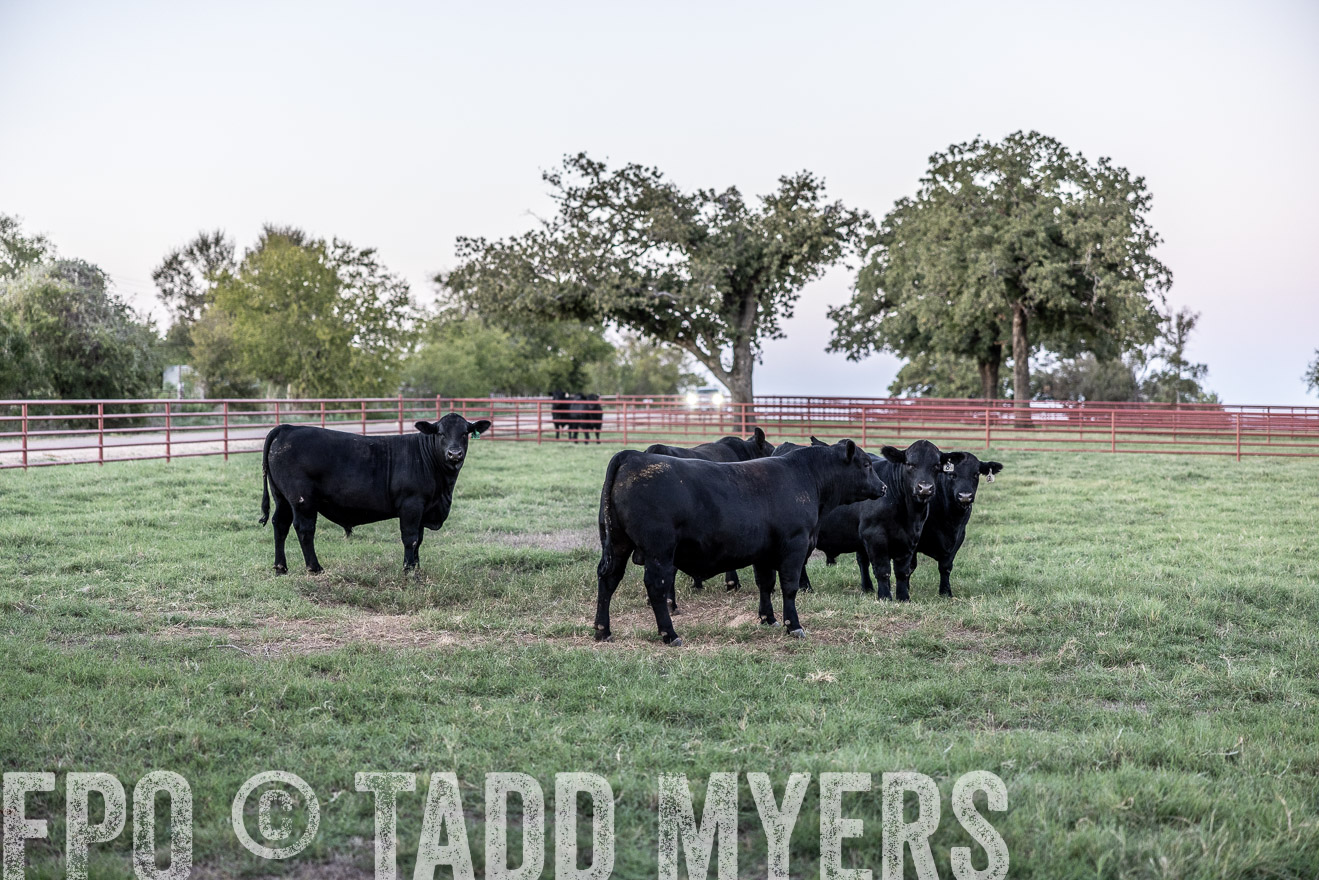 TMyers_LoCash_Cameron_Oct2023-514640
