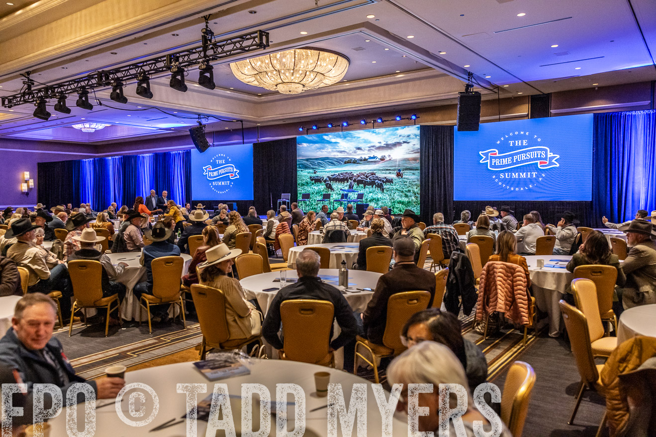 TMyers_PP_Summit_Scottsdale_Jan2024-518537