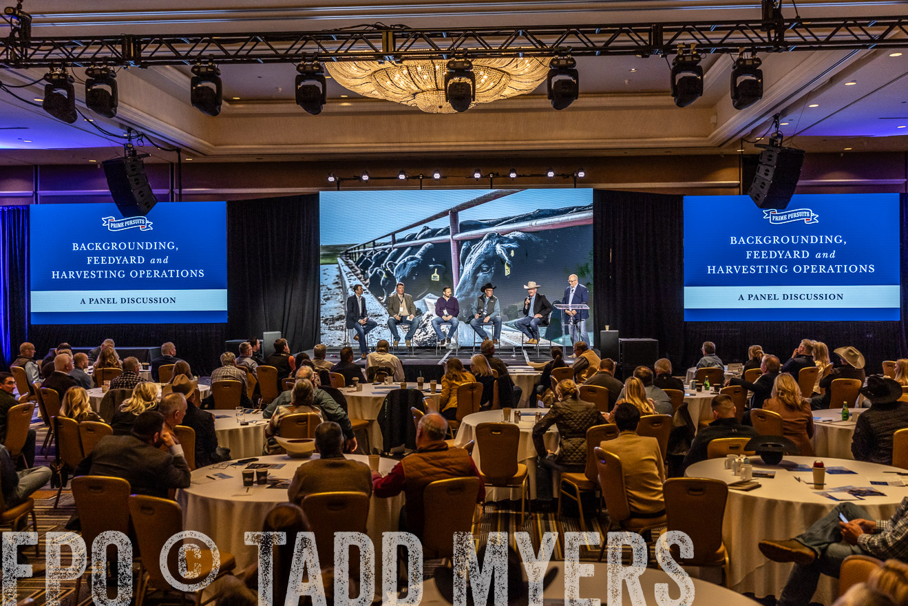 TMyers_PP_Summit_Scottsdale_Jan2024-519036
