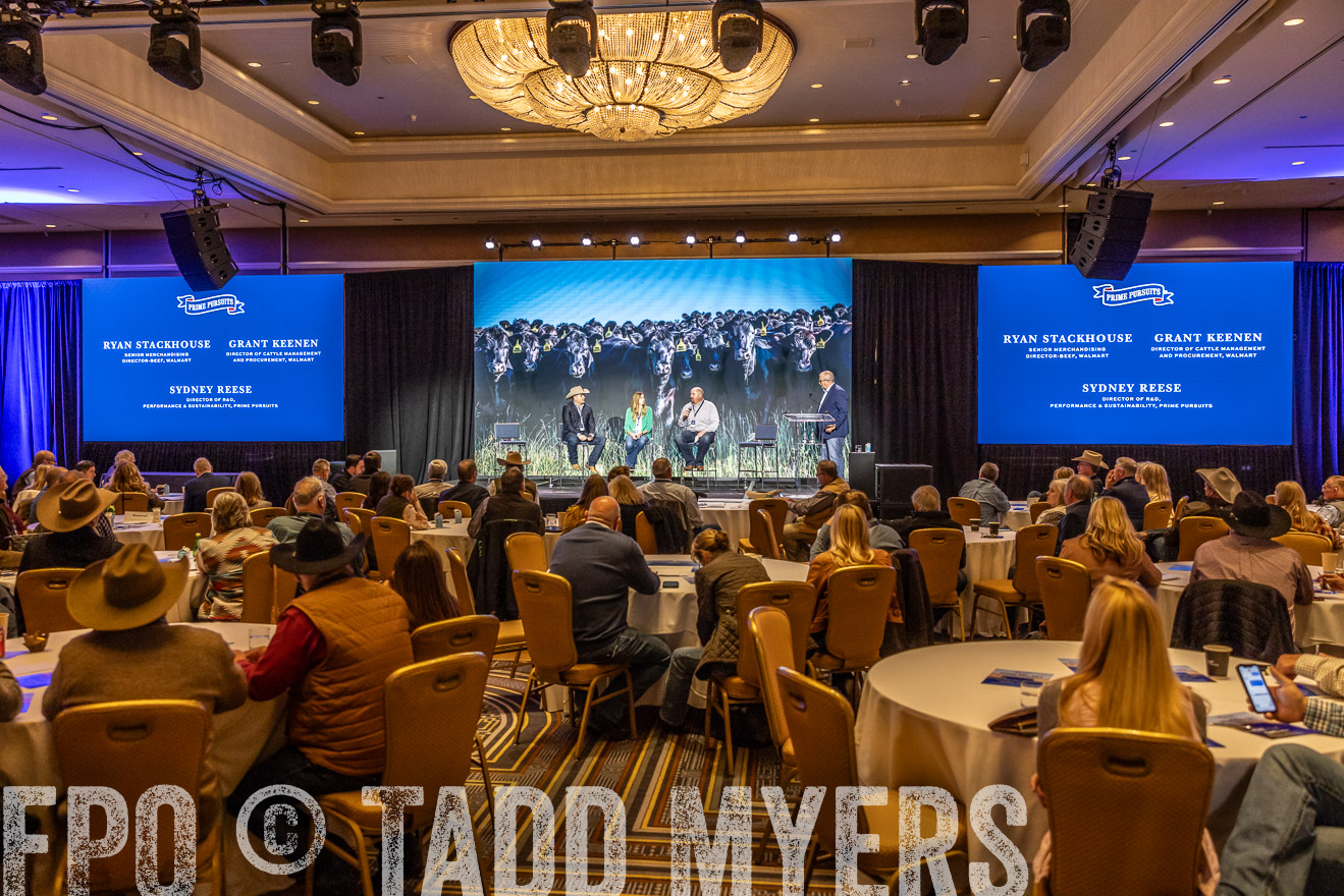 TMyers_PP_Summit_Scottsdale_Jan2024-519266