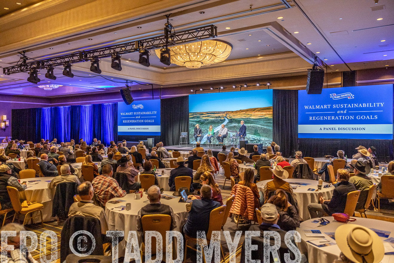 TMyers_PP_Summit_Scottsdale_Jan2024-519317