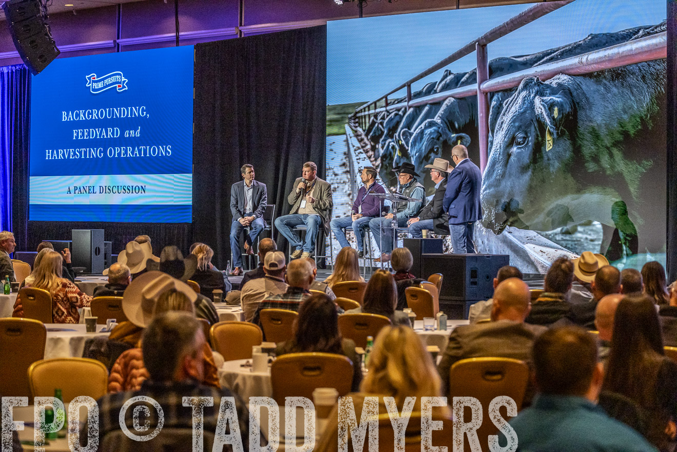 TMyers_PP_Summit_Scottsdale_Jan2024-529621
