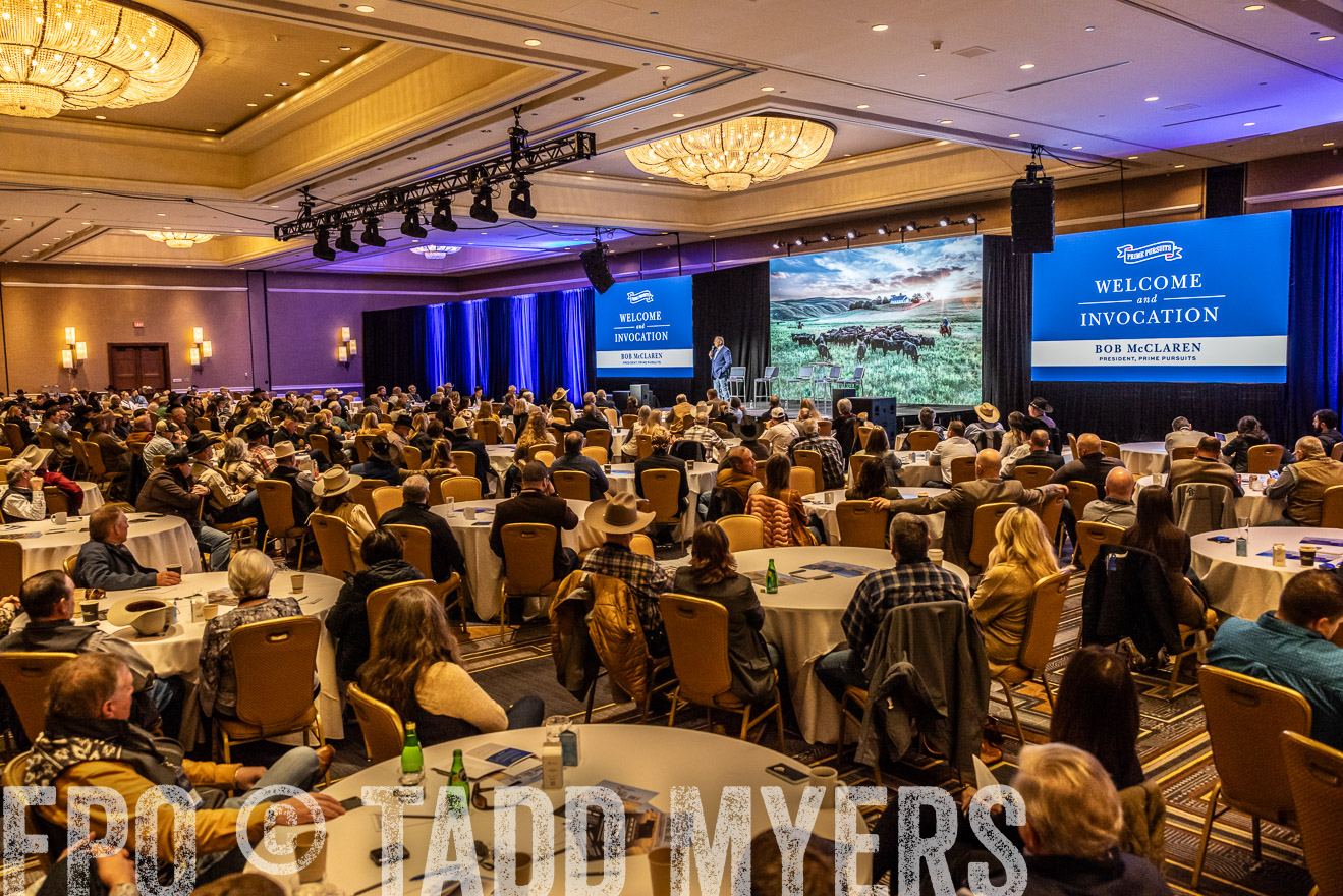 TMyers_PP_Summit_Scottsdale_Jan2024-518580