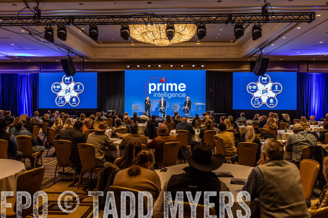TMyers_PP_Summit_Scottsdale_Jan2024-518945