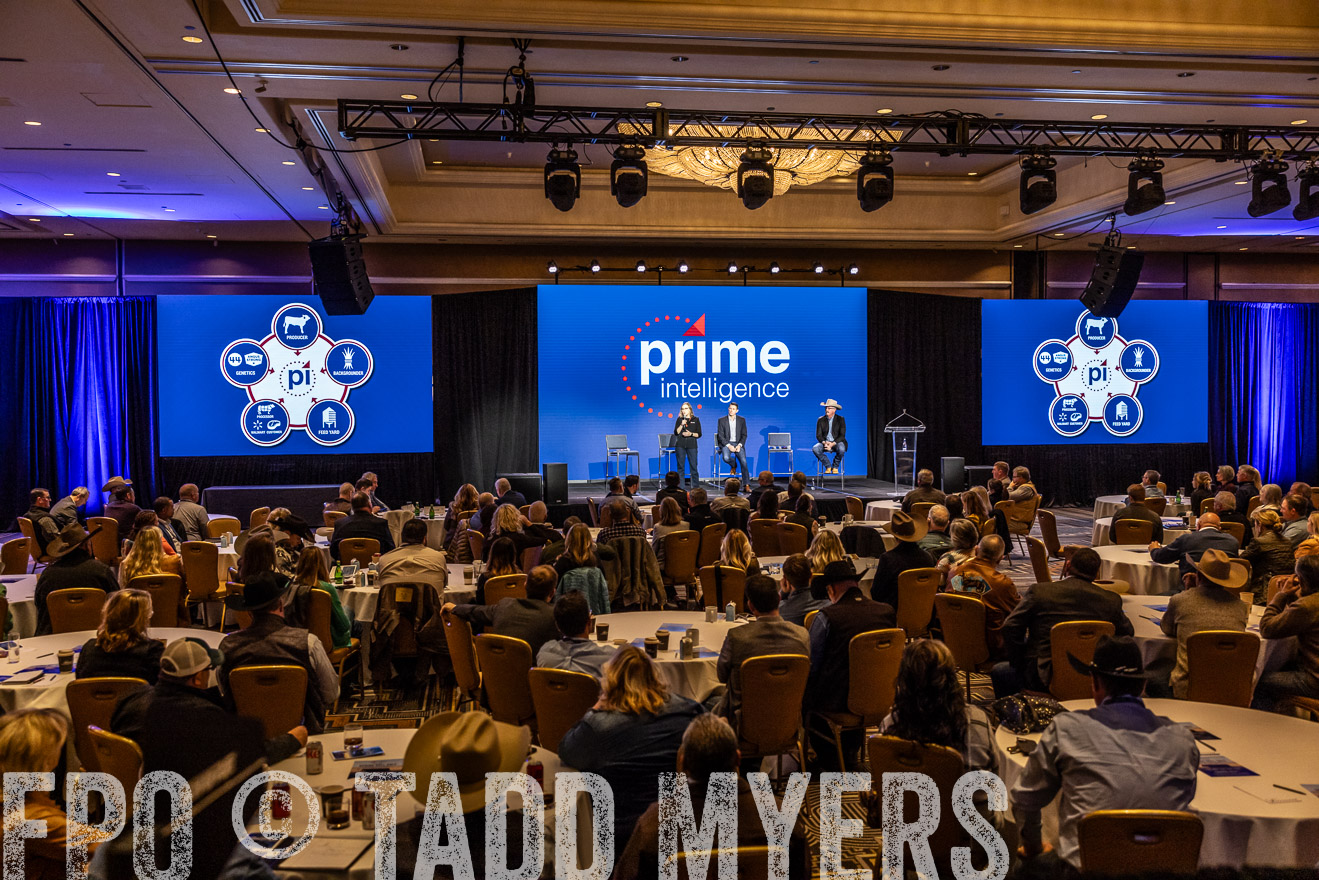 TMyers_PP_Summit_Scottsdale_Jan2024-518969