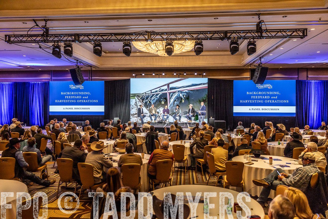 TMyers_PP_Summit_Scottsdale_Jan2024-519019