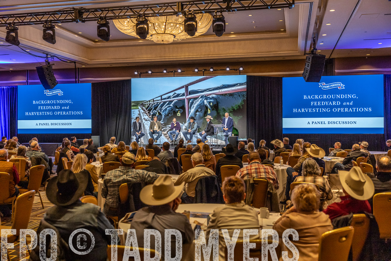 TMyers_PP_Summit_Scottsdale_Jan2024-519057