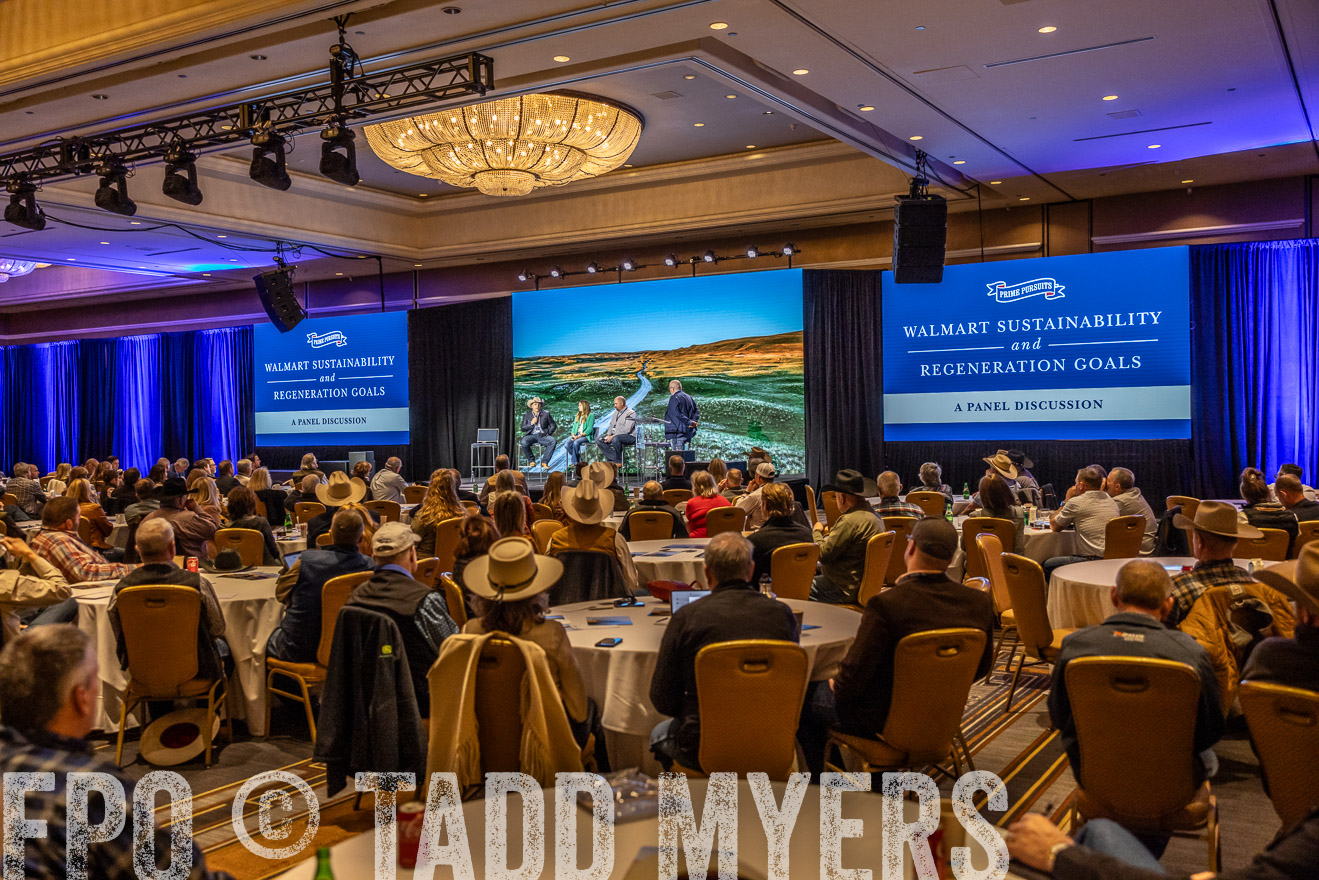 TMyers_PP_Summit_Scottsdale_Jan2024-519282