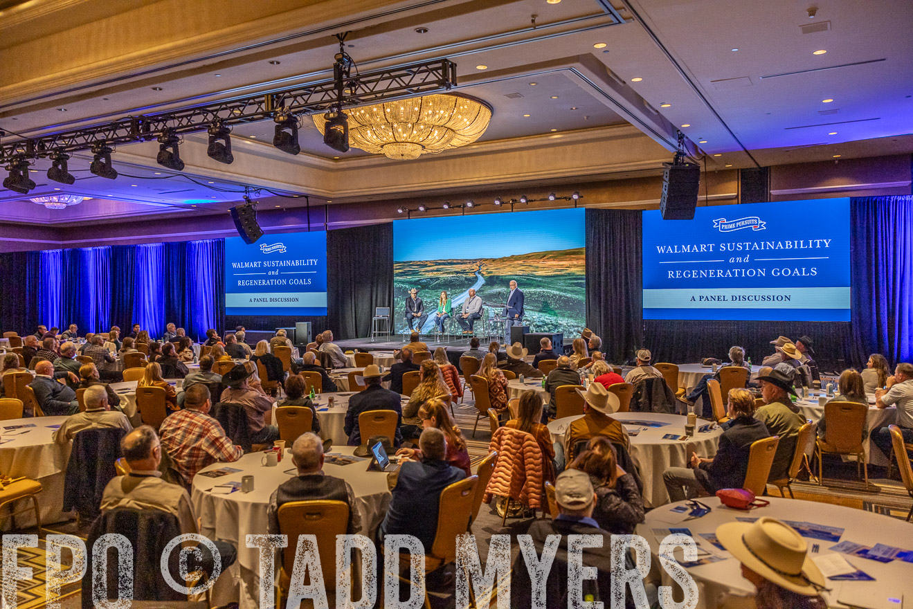 TMyers_PP_Summit_Scottsdale_Jan2024-519321