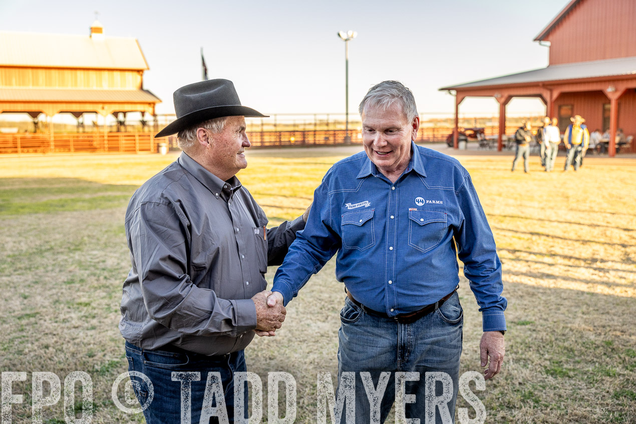 TMyers_SpringBullSale_Cameron_Feb2024-511141