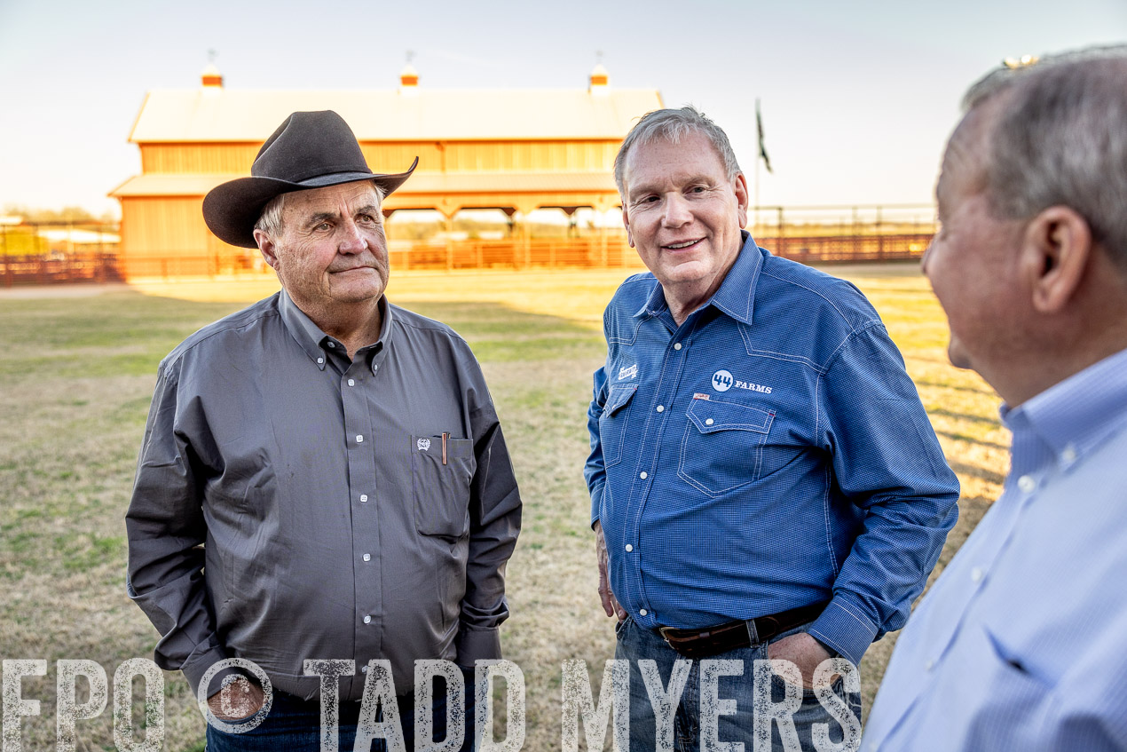 TMyers_SpringBullSale_Cameron_Feb2024-511176