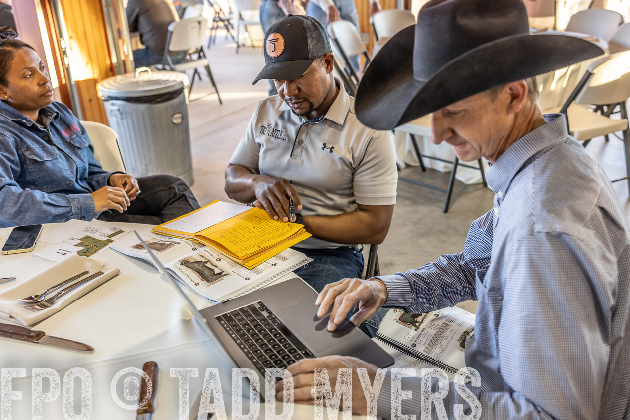 TMyers_SpringBullSale_Cameron_Feb2024-511232