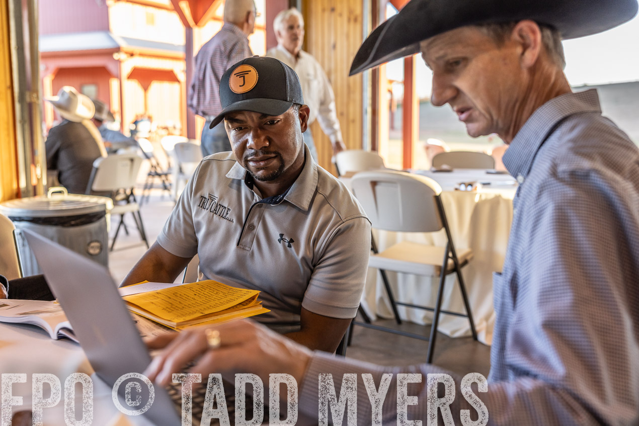 TMyers_SpringBullSale_Cameron_Feb2024-511243