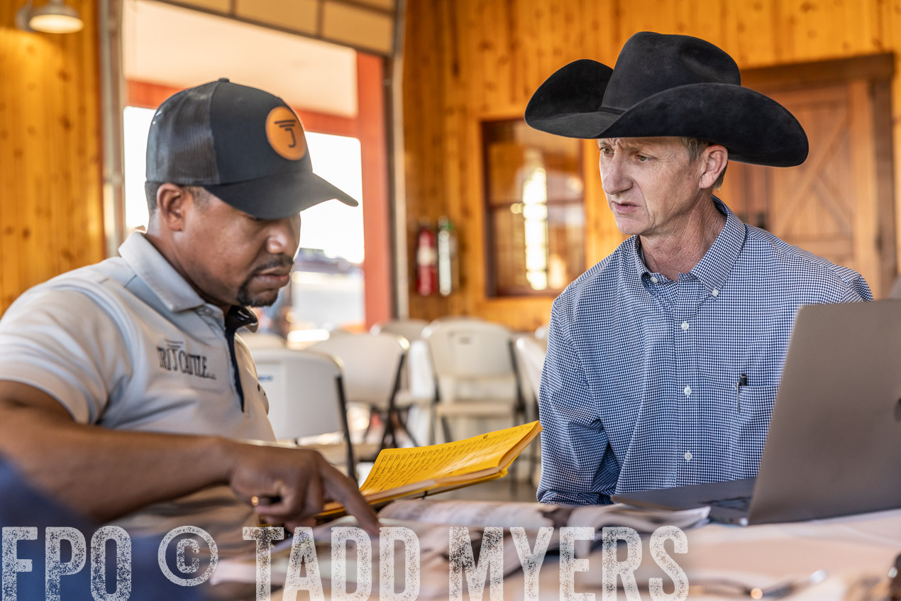 TMyers_SpringBullSale_Cameron_Feb2024-511257