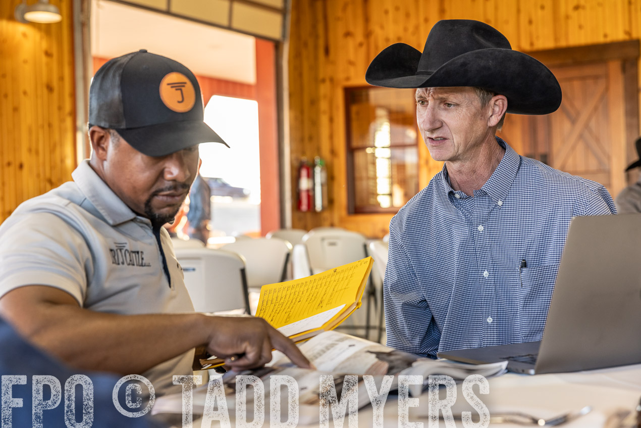 TMyers_SpringBullSale_Cameron_Feb2024-511261