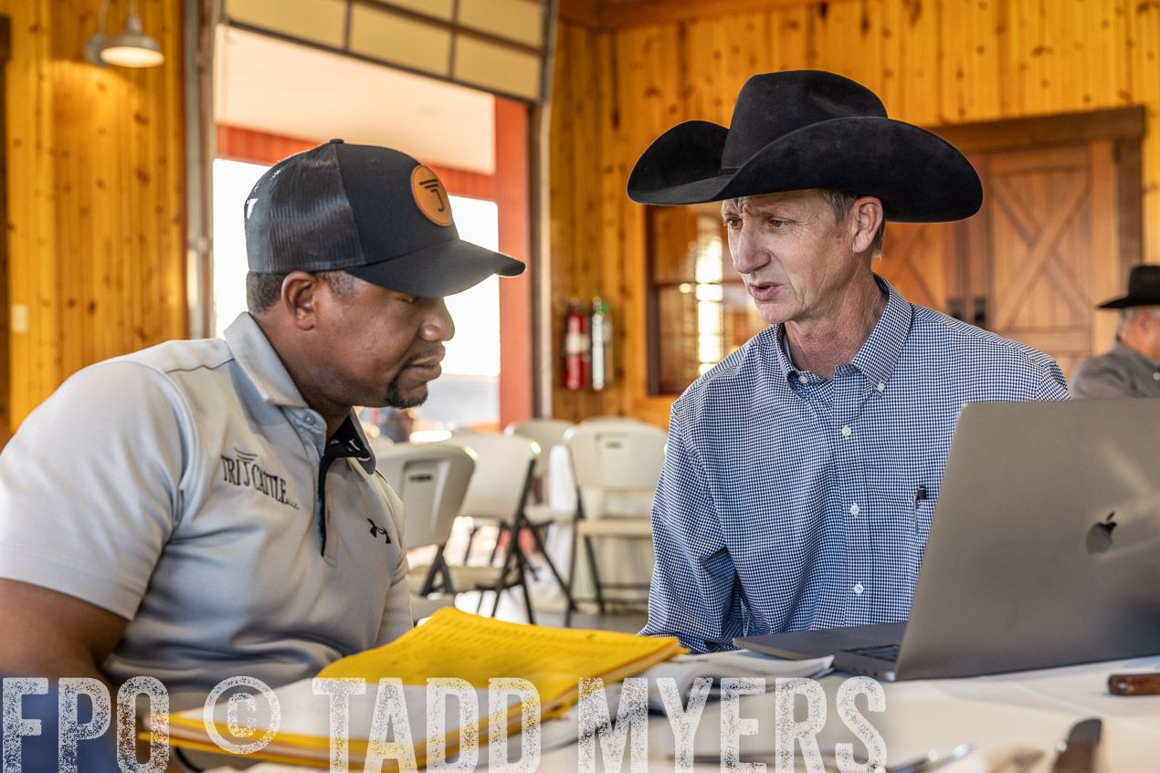 TMyers_SpringBullSale_Cameron_Feb2024-511276