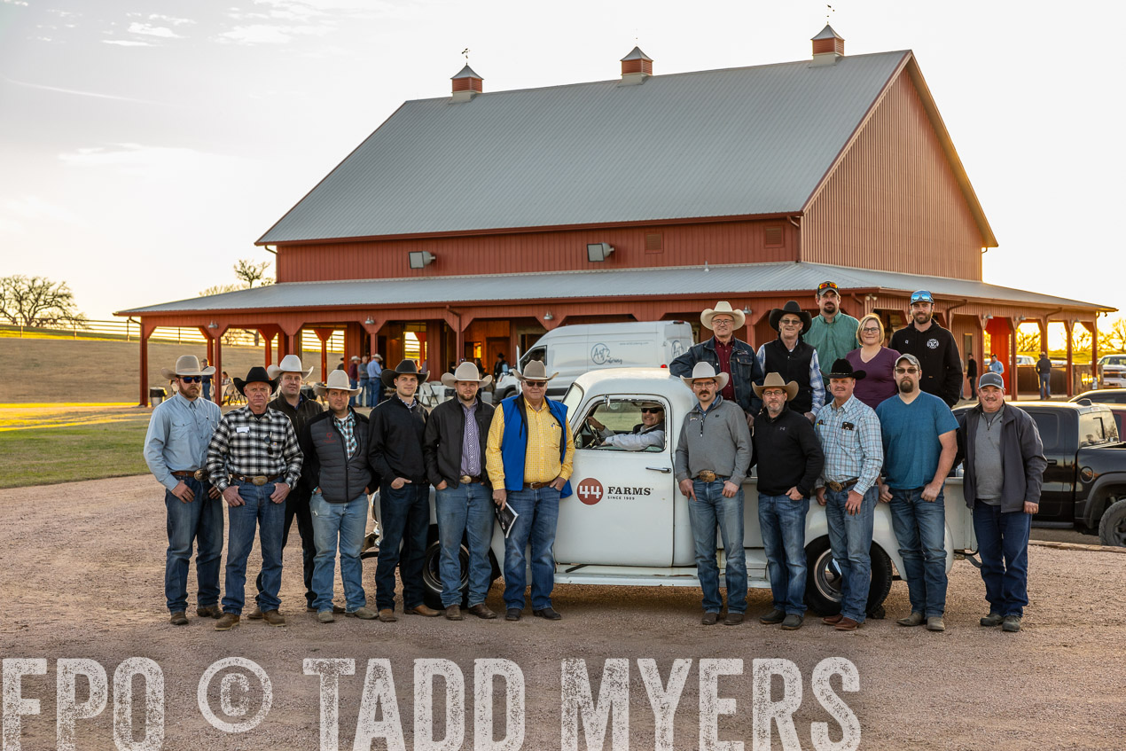 TMyers_SpringBullSale_Cameron_Feb2024-511301