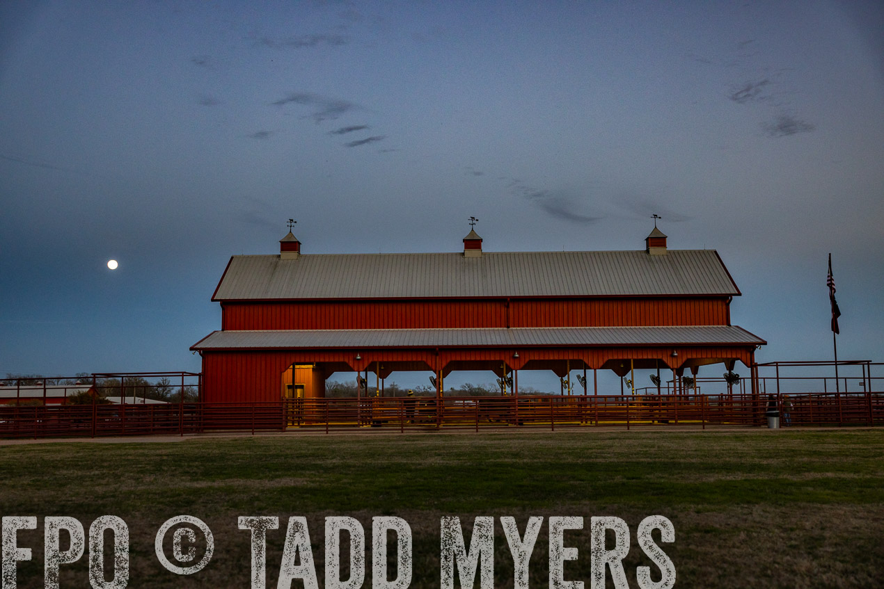 TMyers_SpringBullSale_Cameron_Feb2024-511346