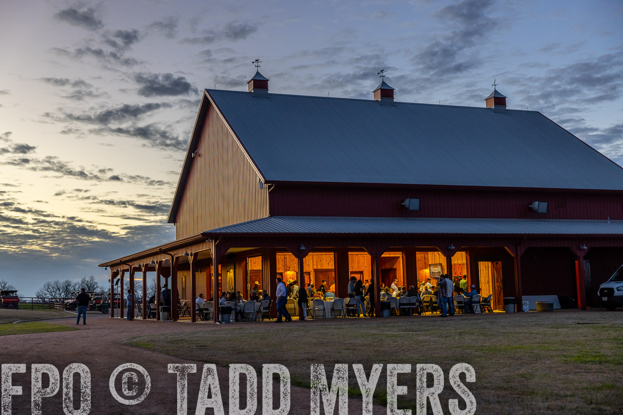 TMyers_SpringBullSale_Cameron_Feb2024-511374