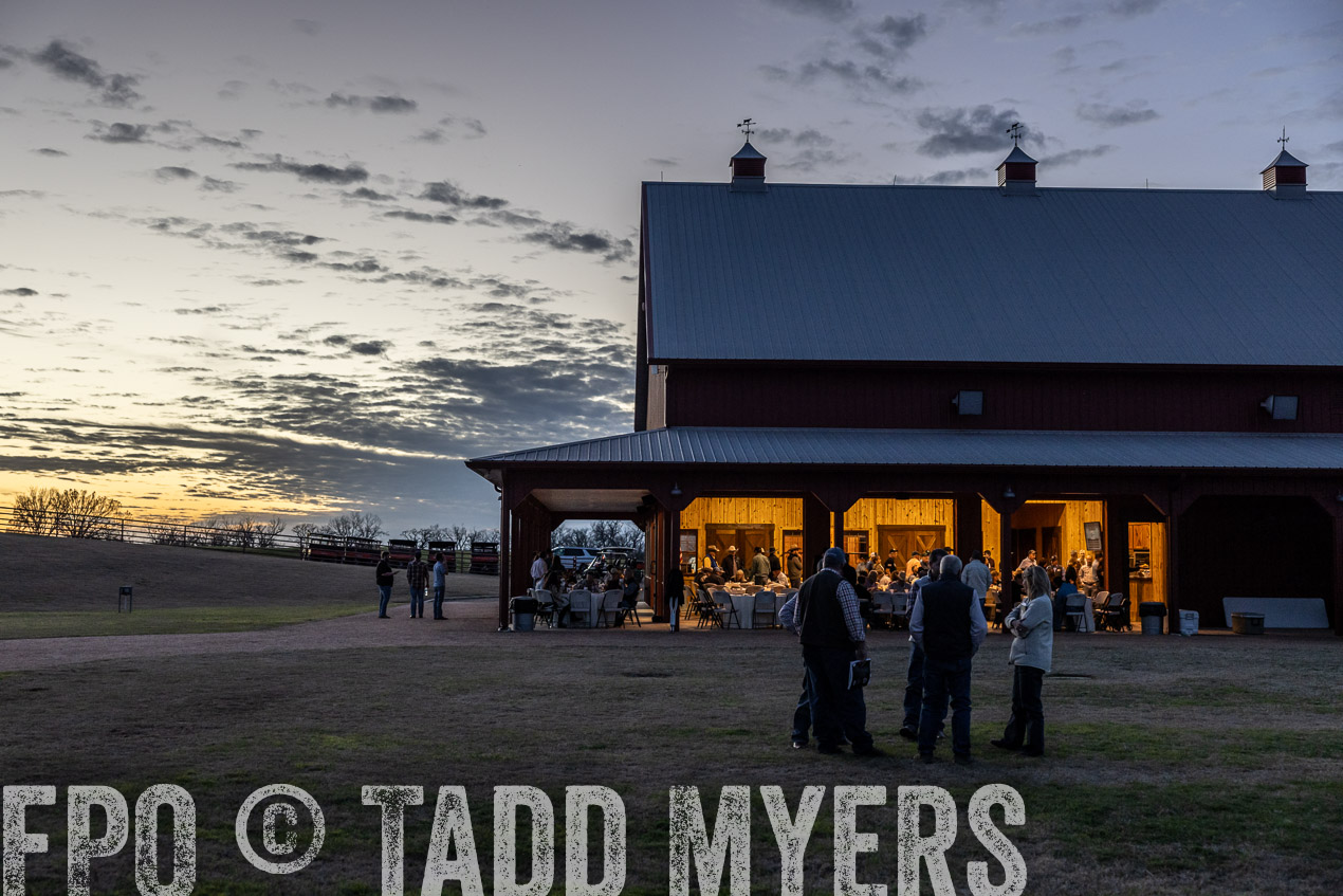 TMyers_SpringBullSale_Cameron_Feb2024-511388