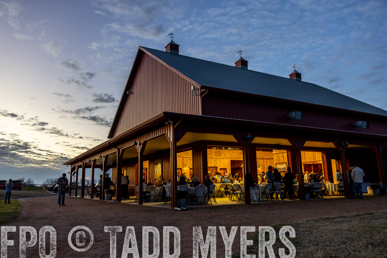 TMyers_SpringBullSale_Cameron_Feb2024-511393