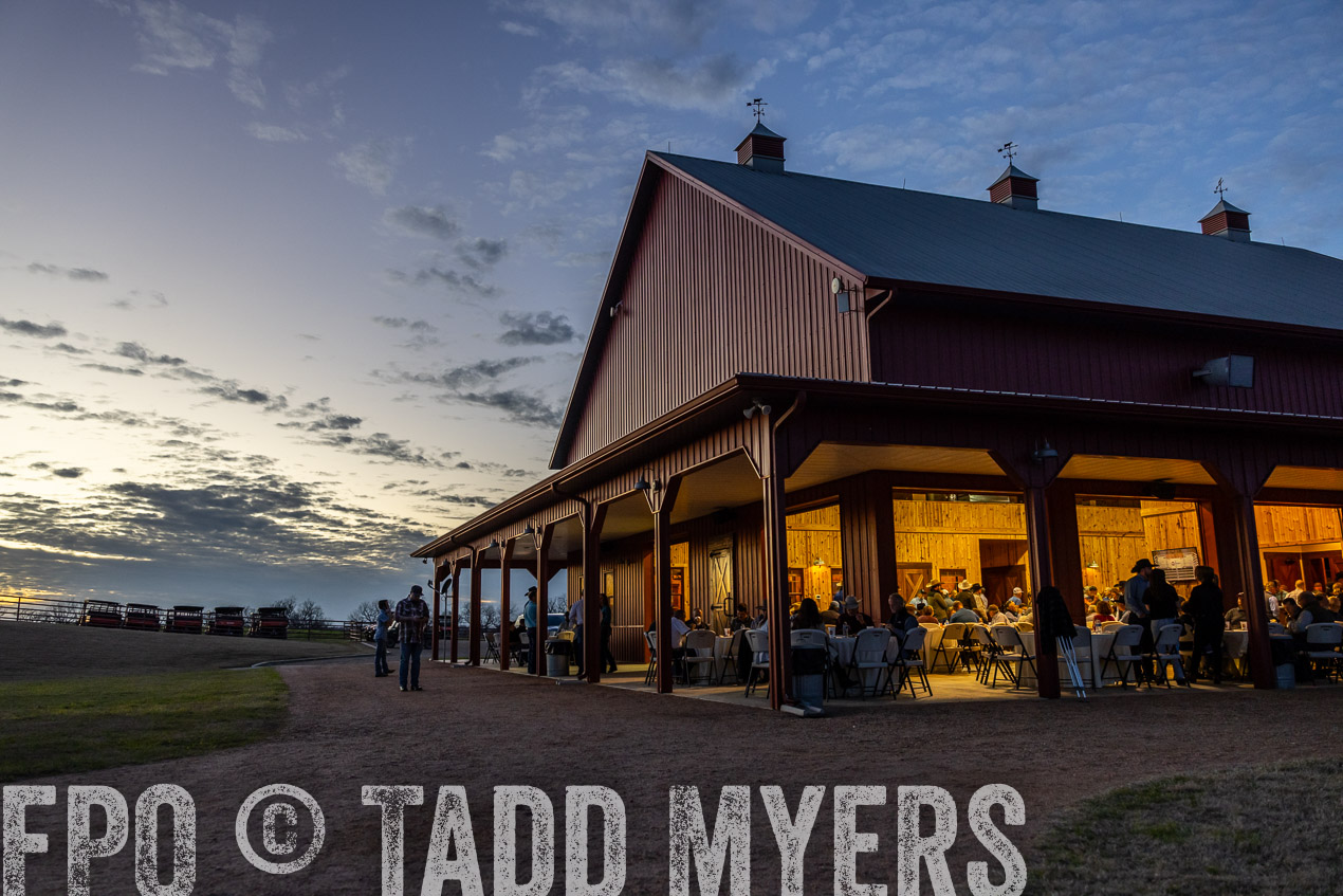 TMyers_SpringBullSale_Cameron_Feb2024-511402