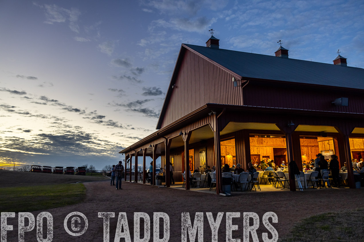 TMyers_SpringBullSale_Cameron_Feb2024-511405